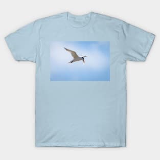 Royal Tern In Flight T-Shirt